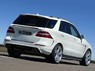 Обвес Hofele Starcruiser GT550 для Mercedes ML W166