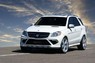 Обвес Hofele Starcruiser GT550 для Mercedes ML W166