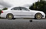 Пороги Prior Design PD65 для Mercedes E-Class W211