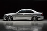 Обвес «Wald Black Bison Edition» на Mercedes E-class W211