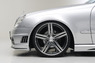 Обвес «Wald Black Bison Edition» на Mercedes E-class W211